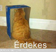 érdekes.jpg