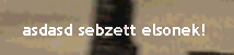 sebzett.png