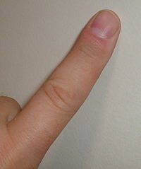 200px-Finger.agr.jpg